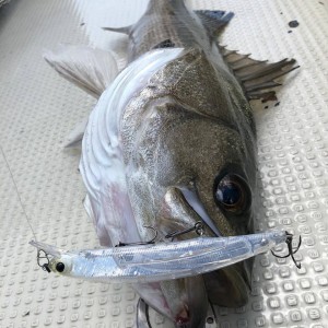 hideup 永野総一朗 ブログ写真 2019/04/02