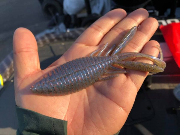 hideup 永野総一朗 ブログ写真 2019/04/05