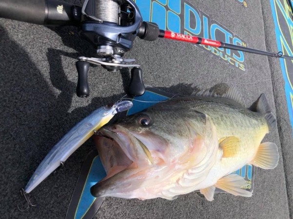 hideup 永野総一朗 ブログ写真 2019/04/05