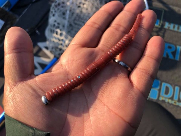 hideup 永野総一朗 ブログ写真 2019/04/05