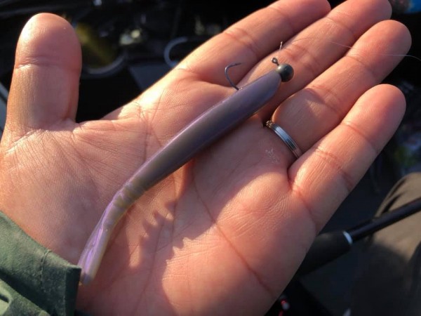 hideup 永野総一朗 ブログ写真 2019/04/05