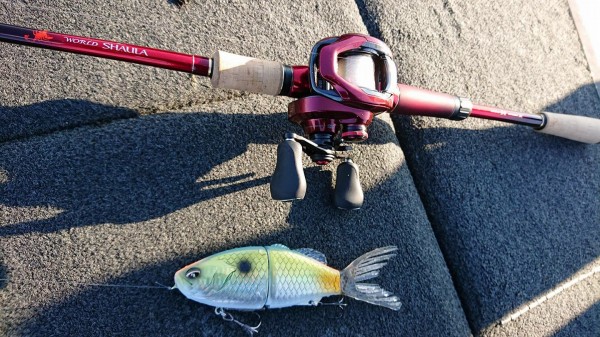 hideup 永野総一朗 ブログ写真 2019/04/05