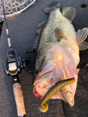 hideup 永野総一朗 ブログ写真 2019/04/07