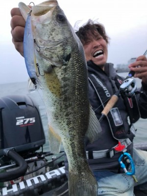 hideup 永野総一朗 ブログ写真 2019/04/07