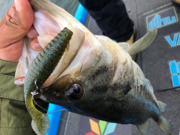 hideup 永野総一朗 ブログ写真 2019/04/13