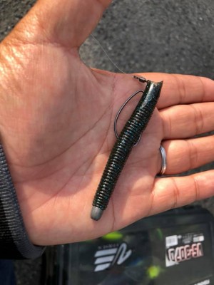 hideup 永野総一朗 ブログ写真 2019/04/13