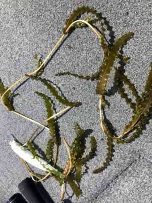 hideup 永野総一朗 ブログ写真 2019/04/16