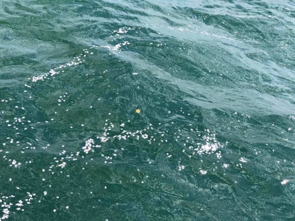 hideup 永野総一朗 ブログ写真 2019/04/16