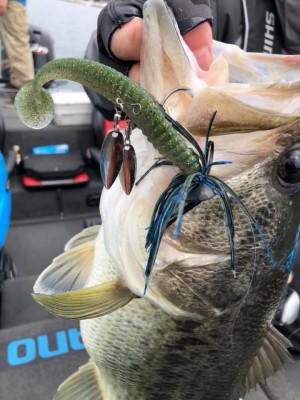 hideup 永野総一朗 ブログ写真 2019/04/17