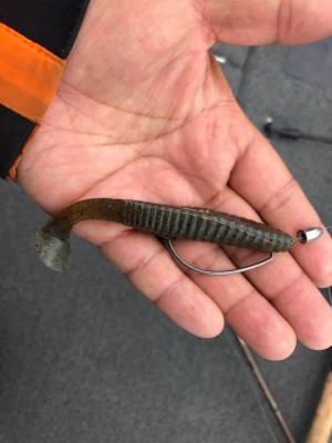 hideup 永野総一朗 ブログ写真 2019/04/17