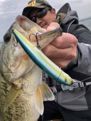 hideup 永野総一朗 ブログ写真 2019/04/17