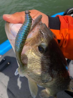 hideup 永野総一朗 ブログ写真 2019/04/18