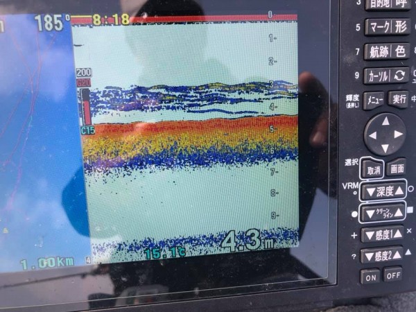 hideup 永野総一朗 ブログ写真 2019/04/19