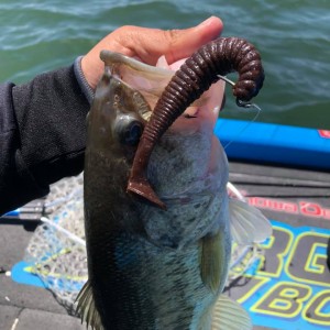 hideup 永野総一朗 ブログ写真 2019/04/21