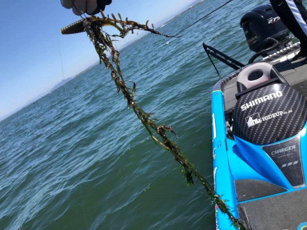 hideup 永野総一朗 ブログ写真 2019/04/21