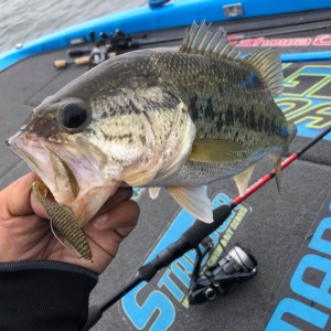 hideup 永野総一朗 ブログ写真 2019/04/21