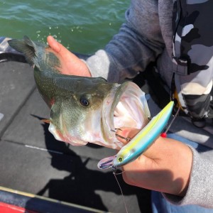 hideup 永野総一朗 ブログ写真 2019/04/21