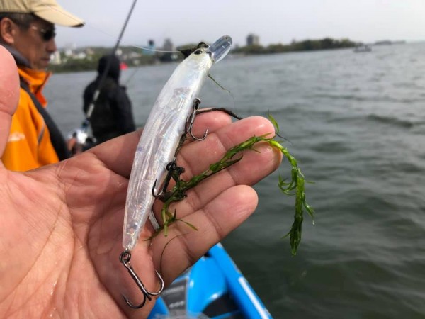 hideup 永野総一朗 ブログ写真 2019/04/23