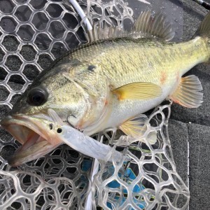 hideup 永野総一朗 ブログ写真 2019/04/23