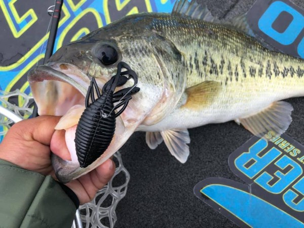 hideup 永野総一朗 ブログ写真 2019/04/27