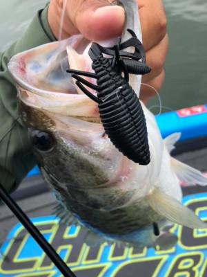 hideup 永野総一朗 ブログ写真 2019/04/27