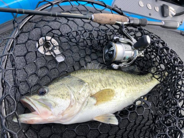 hideup 永野総一朗 ブログ写真 2019/05/05