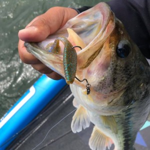 hideup 永野総一朗 ブログ写真 2019/05/06