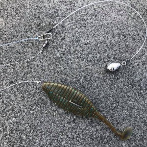 hideup 永野総一朗 ブログ写真 2019/05/06