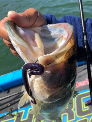 hideup 永野総一朗 ブログ写真 2019/05/09