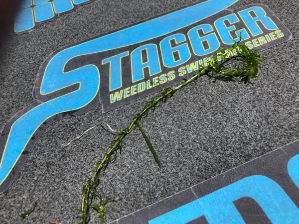 hideup 永野総一朗 ブログ写真 2019/05/09