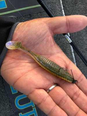 hideup 永野総一朗 ブログ写真 2019/05/10