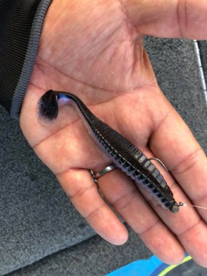 hideup 永野総一朗 ブログ写真 2019/05/10