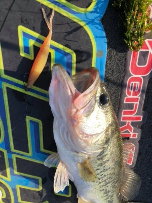 hideup 永野総一朗 ブログ写真 2019/05/11