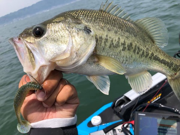 hideup 永野総一朗 ブログ写真 2019/05/11