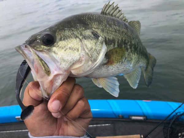 hideup 永野総一朗 ブログ写真 2019/05/13