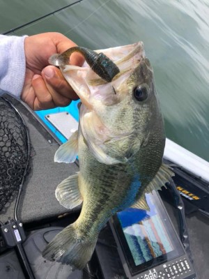 hideup 永野総一朗 ブログ写真 2019/05/13