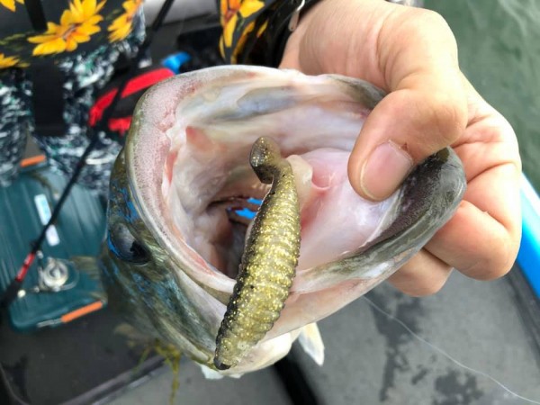 hideup 永野総一朗 ブログ写真 2019/05/15