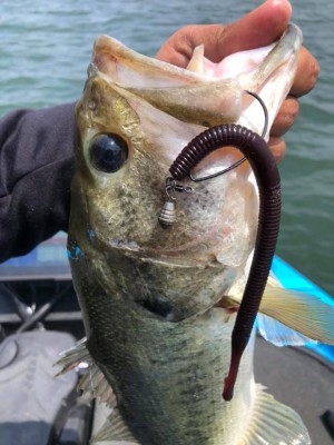 hideup 永野総一朗 ブログ写真 2019/05/15