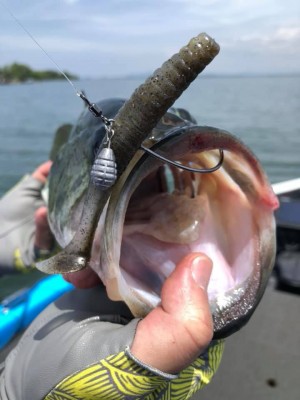 hideup 永野総一朗 ブログ写真 2019/05/15