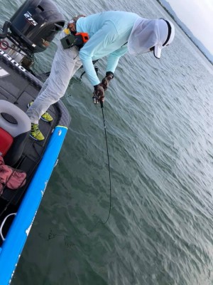 hideup 永野総一朗 ブログ写真 2019/05/17