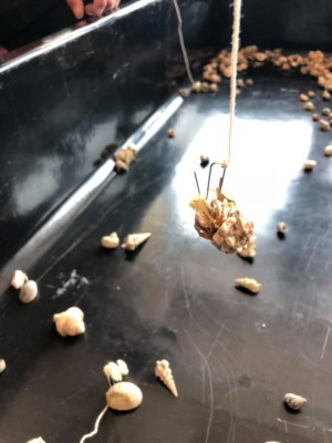 hideup 永野総一朗 ブログ写真 2019/05/20