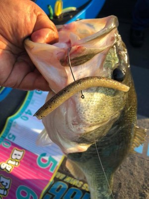 hideup 永野総一朗 ブログ写真 2019/05/25