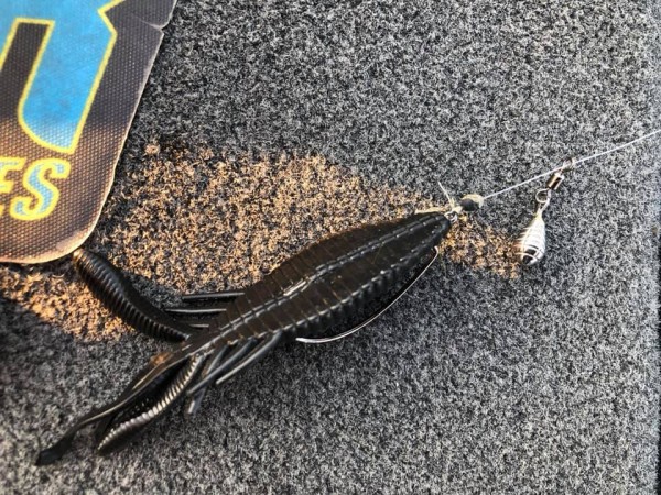 hideup 永野総一朗 ブログ写真 2019/05/25