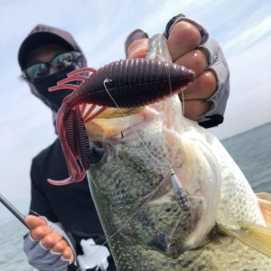 hideup 永野総一朗 ブログ写真 2019/05/28