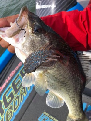 hideup 永野総一朗 ブログ写真 2019/06/01