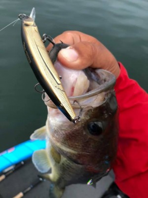 hideup 永野総一朗 ブログ写真 2019/06/03