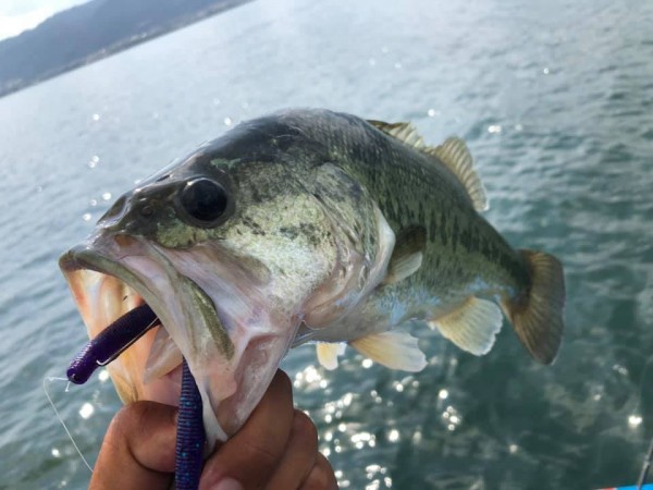 hideup 永野総一朗 ブログ写真 2019/06/04