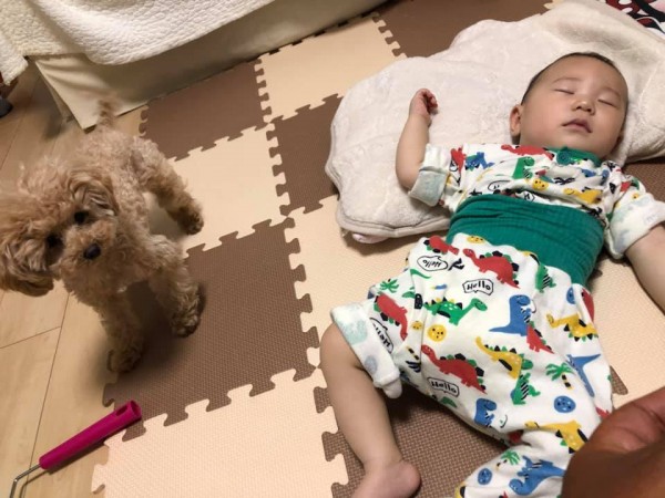 hideup 永野総一朗 ブログ写真 2019/06/04