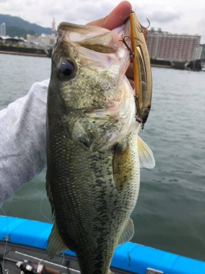 hideup 永野総一朗 ブログ写真 2019/06/05