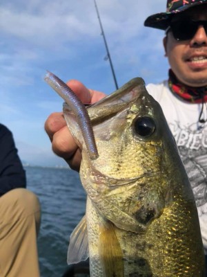 hideup 永野総一朗 ブログ写真 2019/06/08